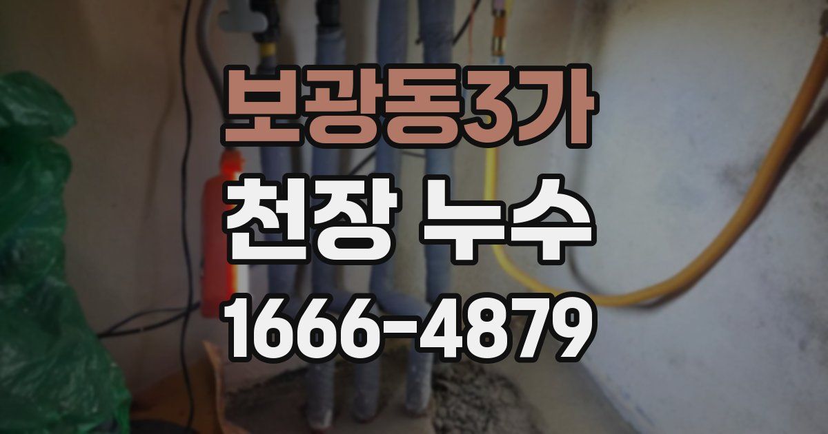 보광동3가 천장 누수