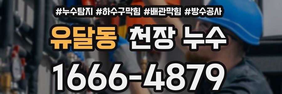 유달동 천장 누수