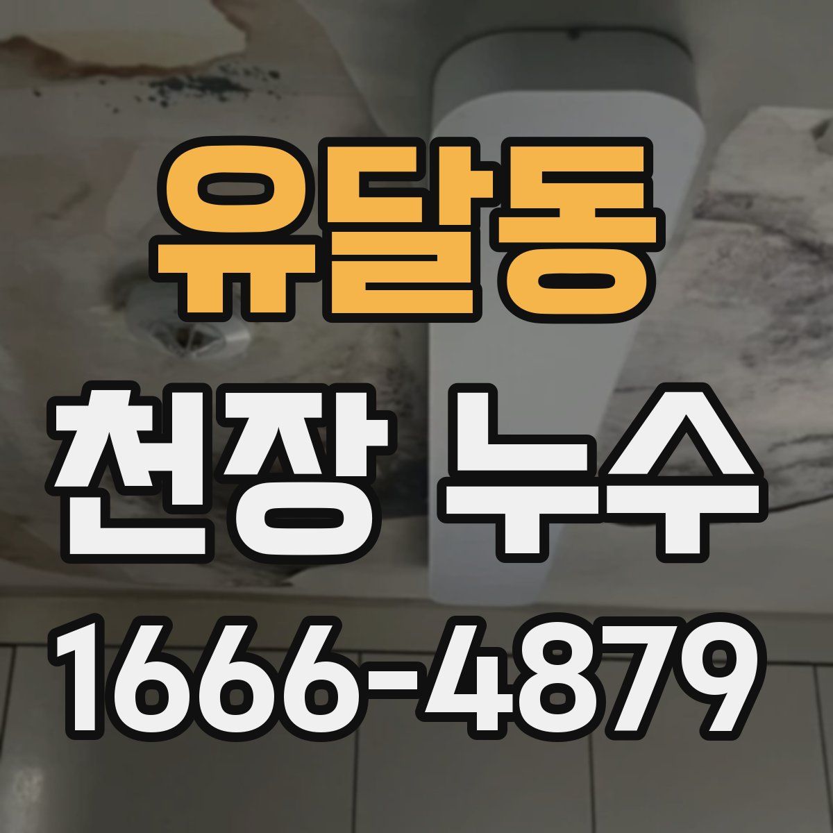 유달동 천장 누수