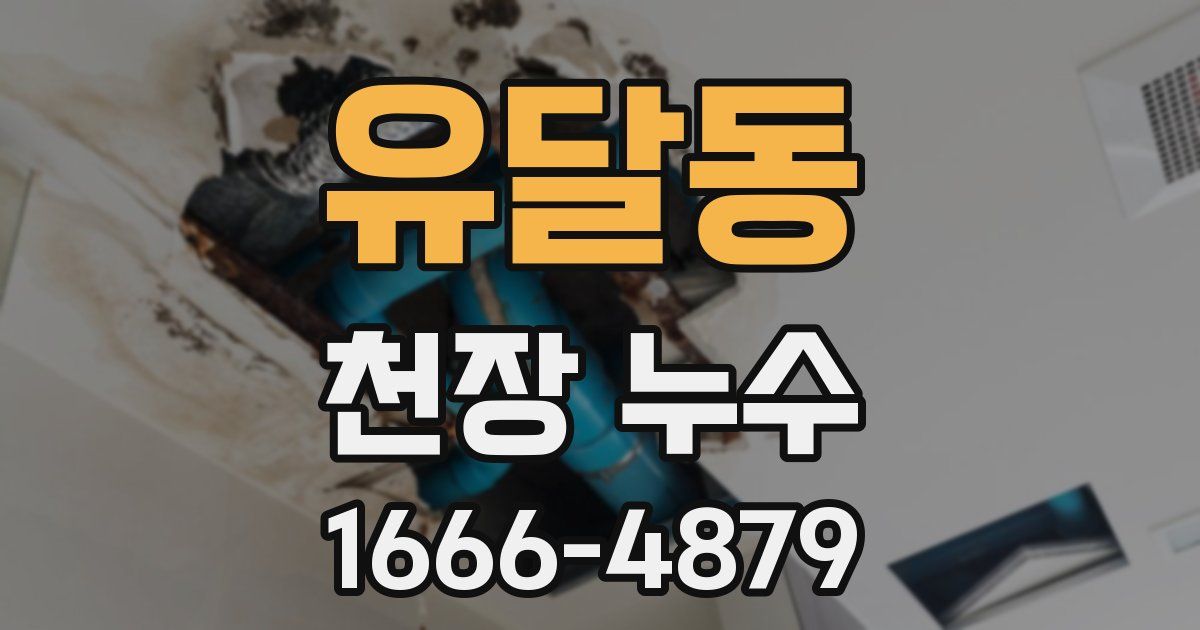 유달동 천장 누수