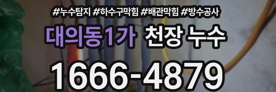 대의동1가 천장 누수