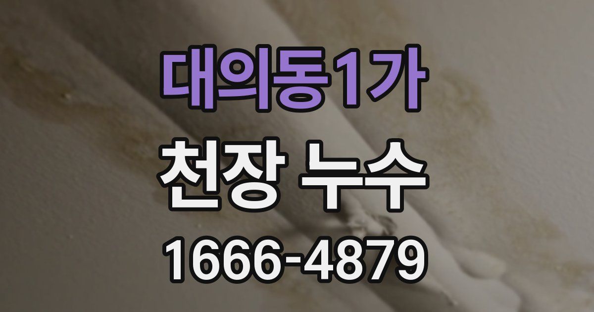 대의동1가 천장 누수