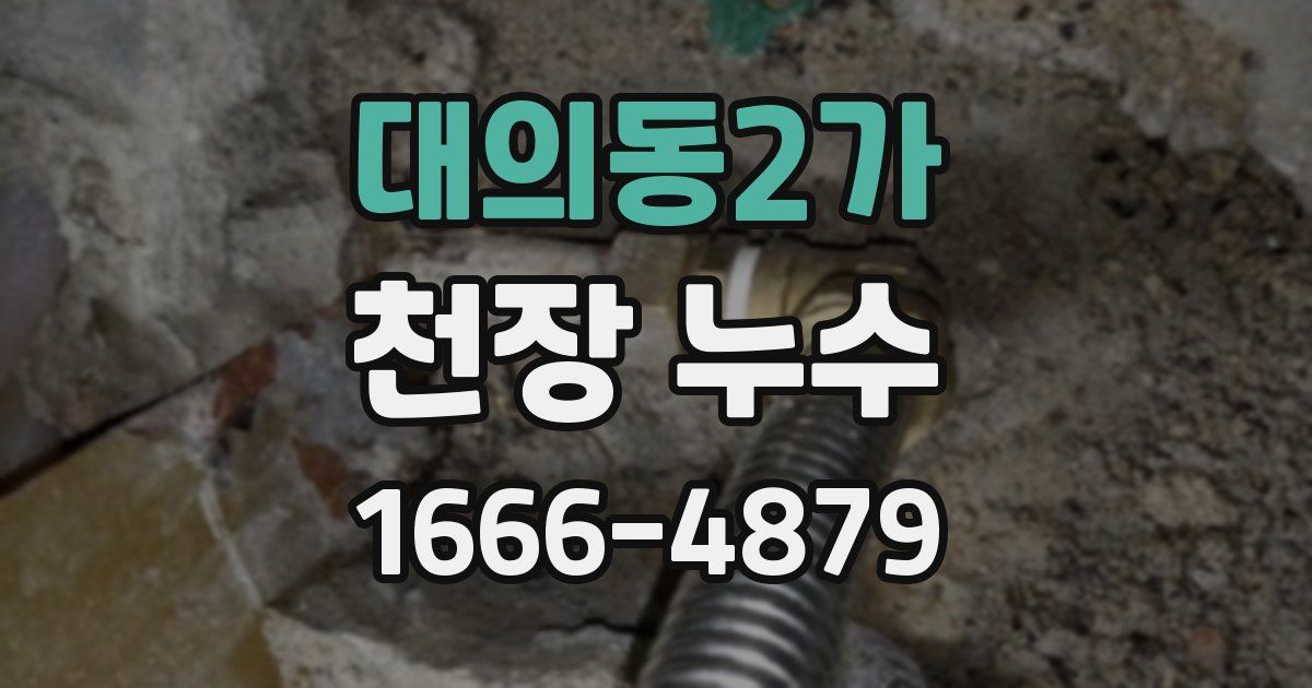 대의동2가 천장 누수