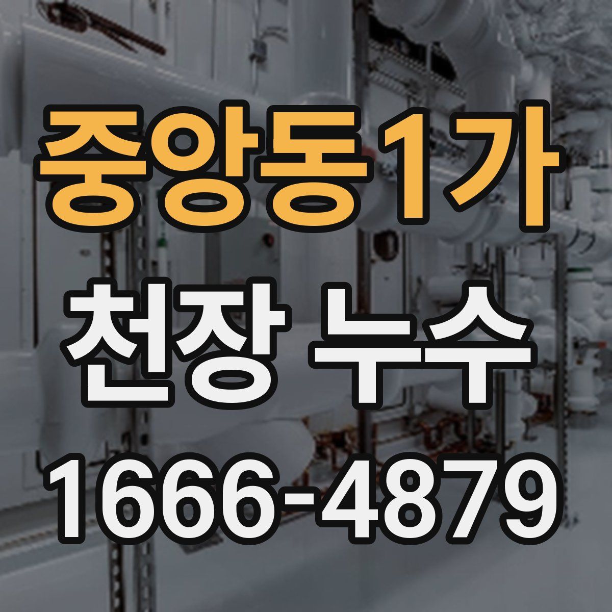 중앙동1가 천장 누수