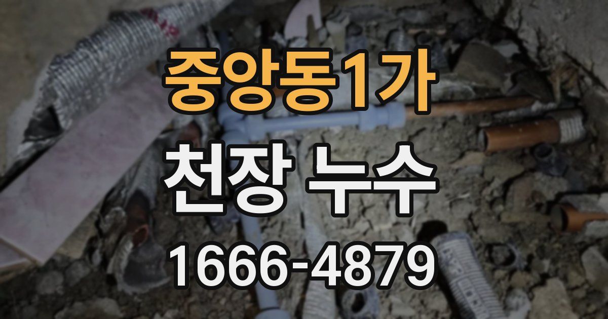 중앙동1가 천장 누수