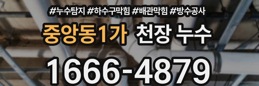 중앙동1가 천장 누수