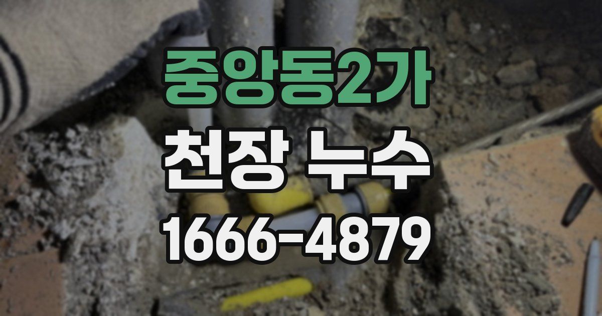 중앙동2가 천장 누수