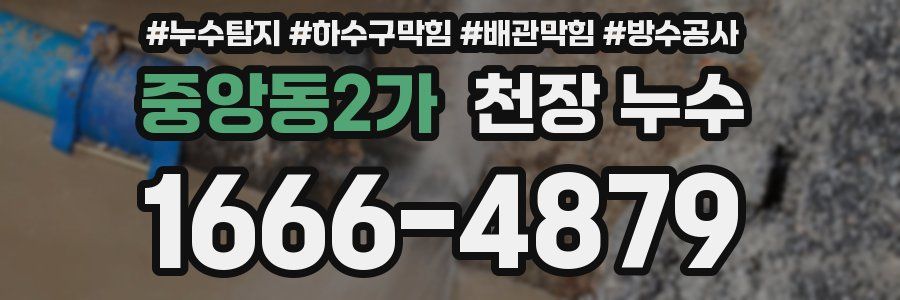 중앙동2가 천장 누수