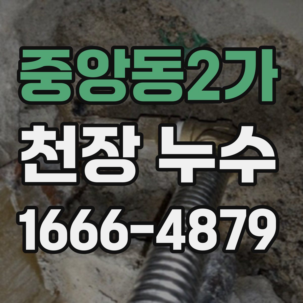 중앙동2가 천장 누수