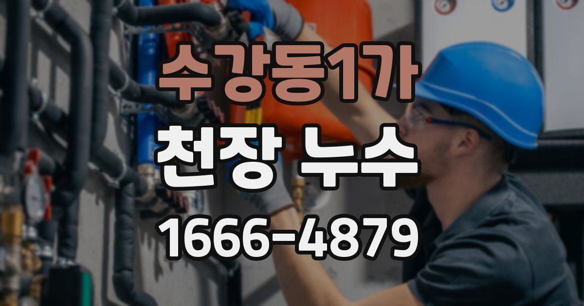 수강동1가 천장 누수
