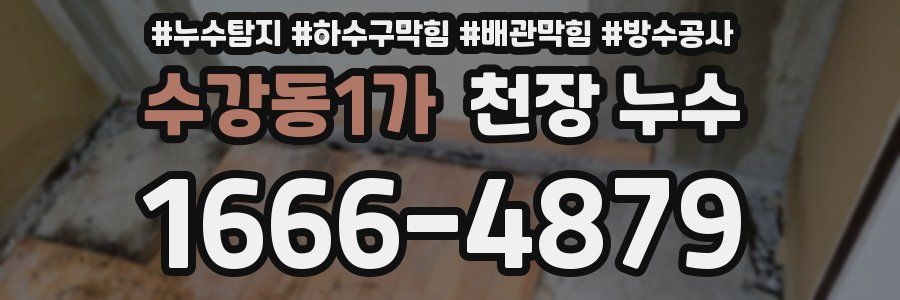 수강동1가 천장 누수
