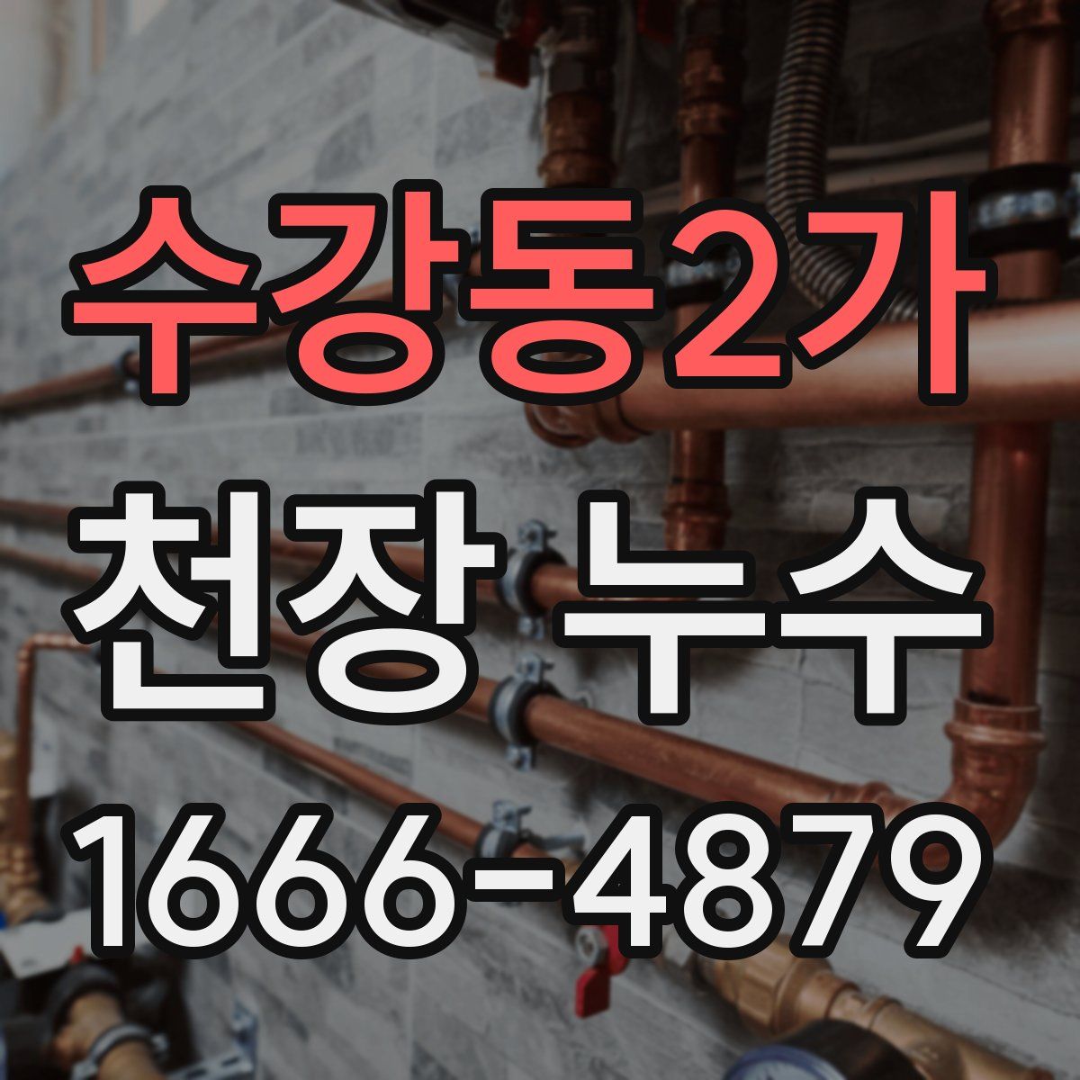 수강동2가 천장 누수