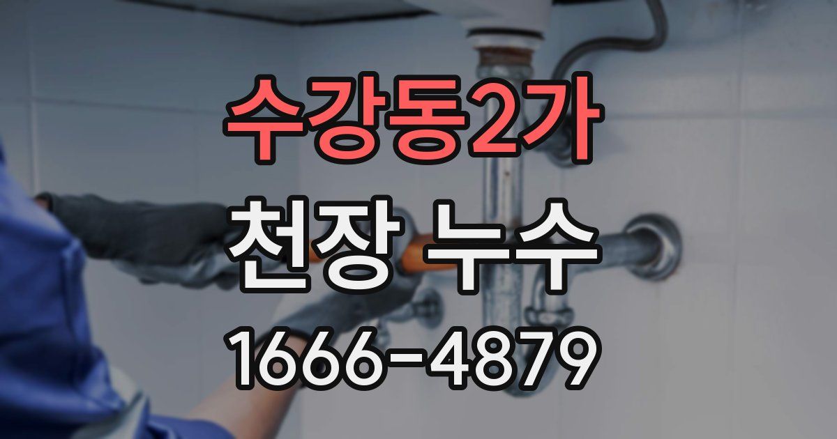 수강동2가 천장 누수