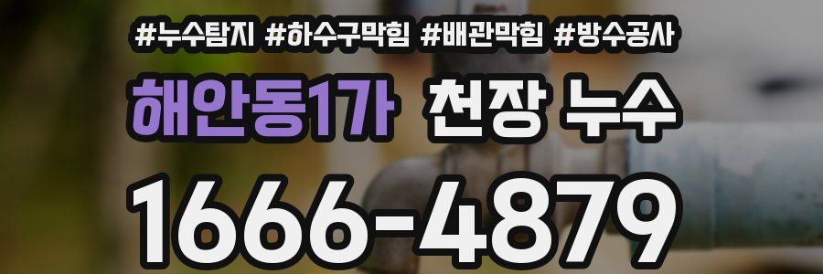 해안동1가 천장 누수