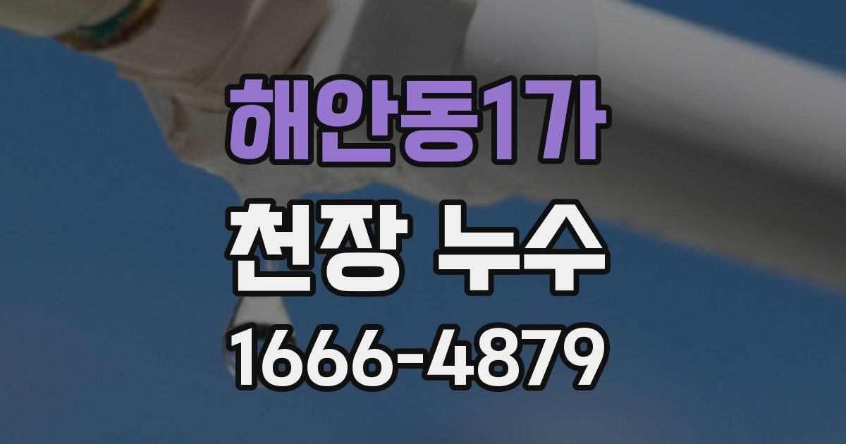 해안동1가 천장 누수