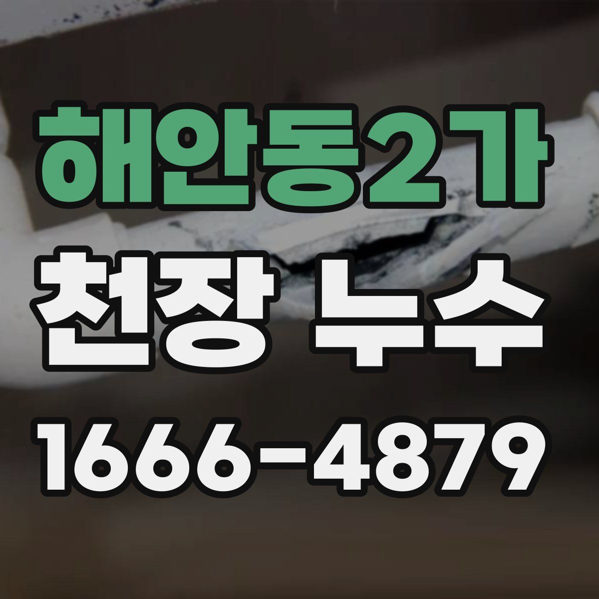 해안동2가 천장 누수