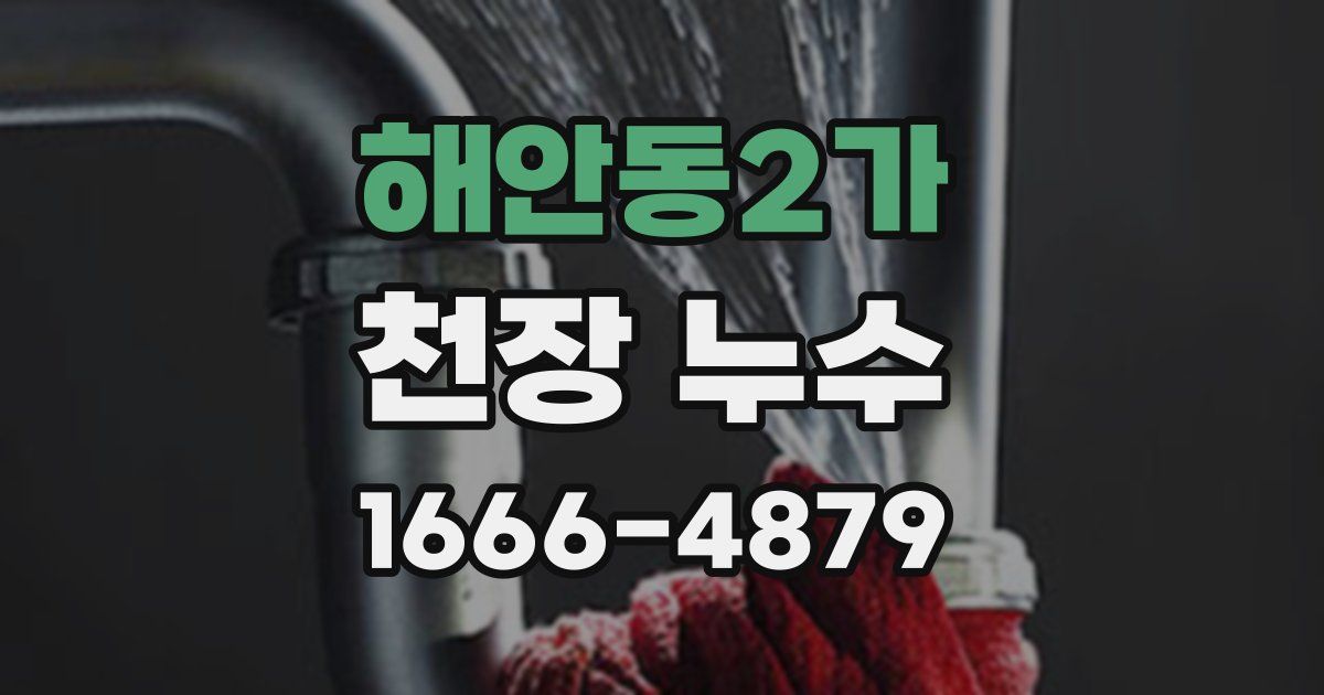 해안동2가 천장 누수