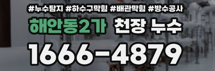 해안동2가 천장 누수