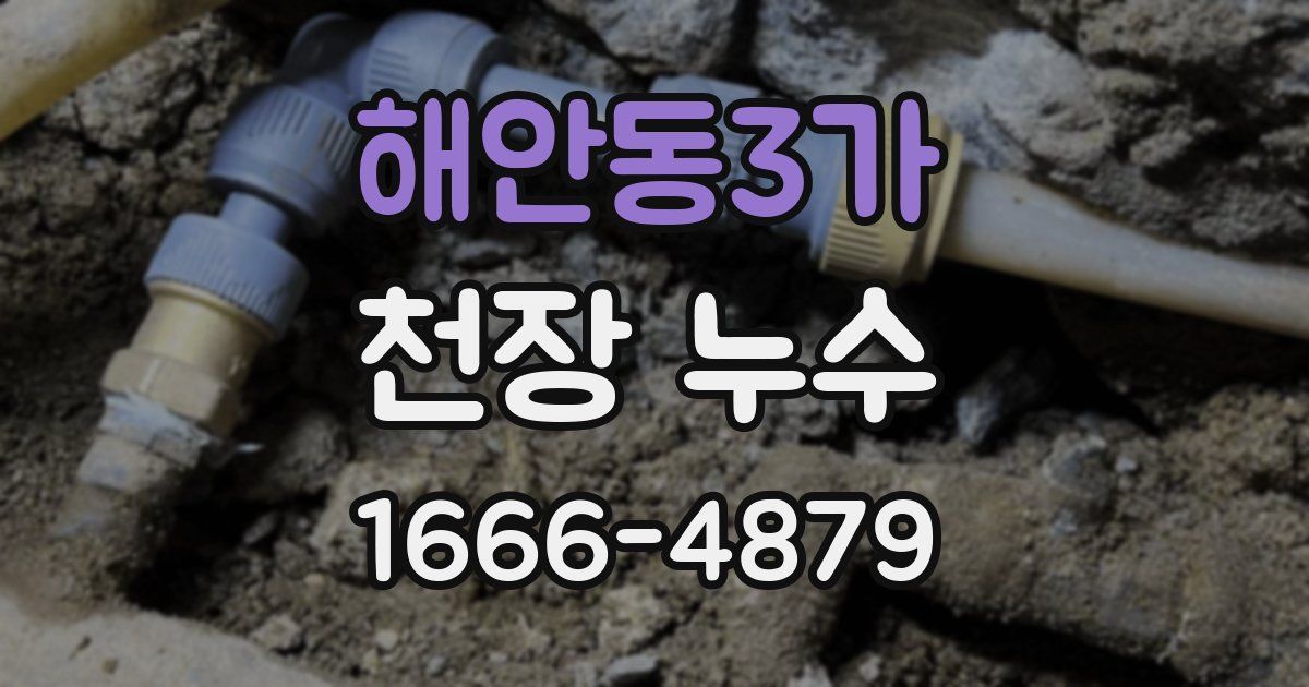 해안동3가 천장 누수
