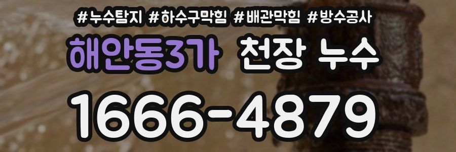 해안동3가 천장 누수