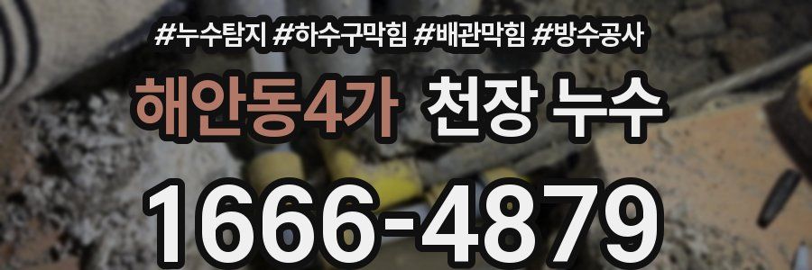 해안동4가 천장 누수