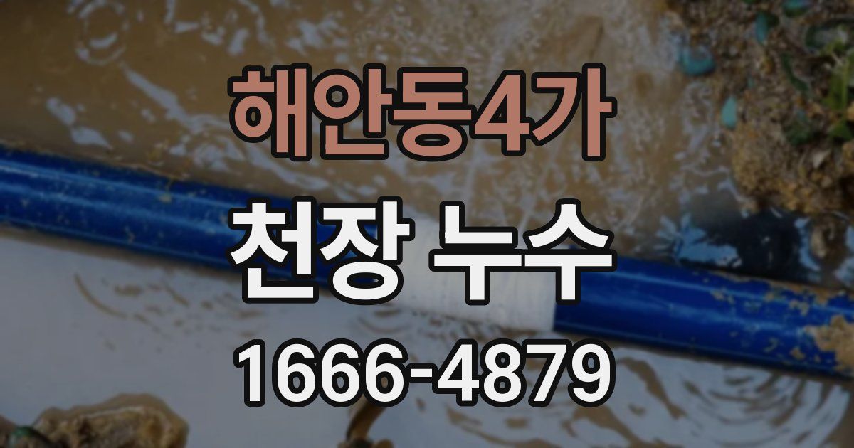 해안동4가 천장 누수