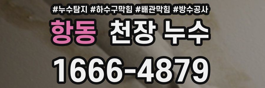 항동 천장 누수