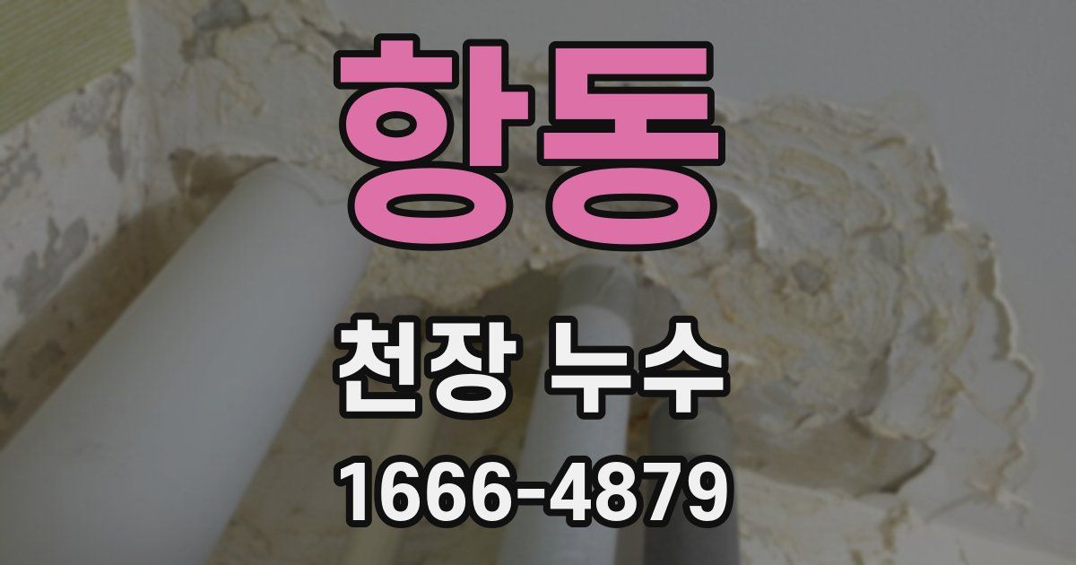 항동 천장 누수
