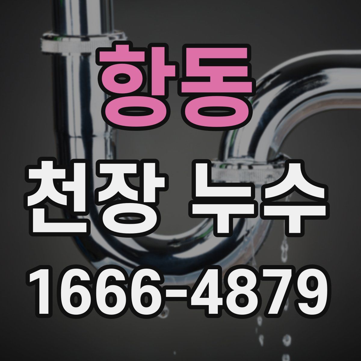 항동 천장 누수