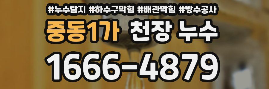 중동1가 천장 누수