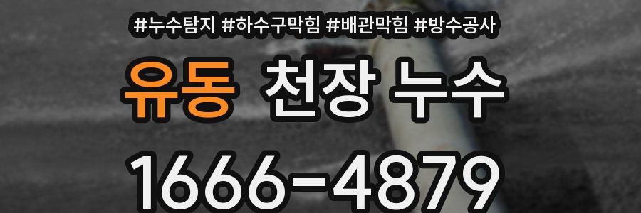 유동 천장 누수