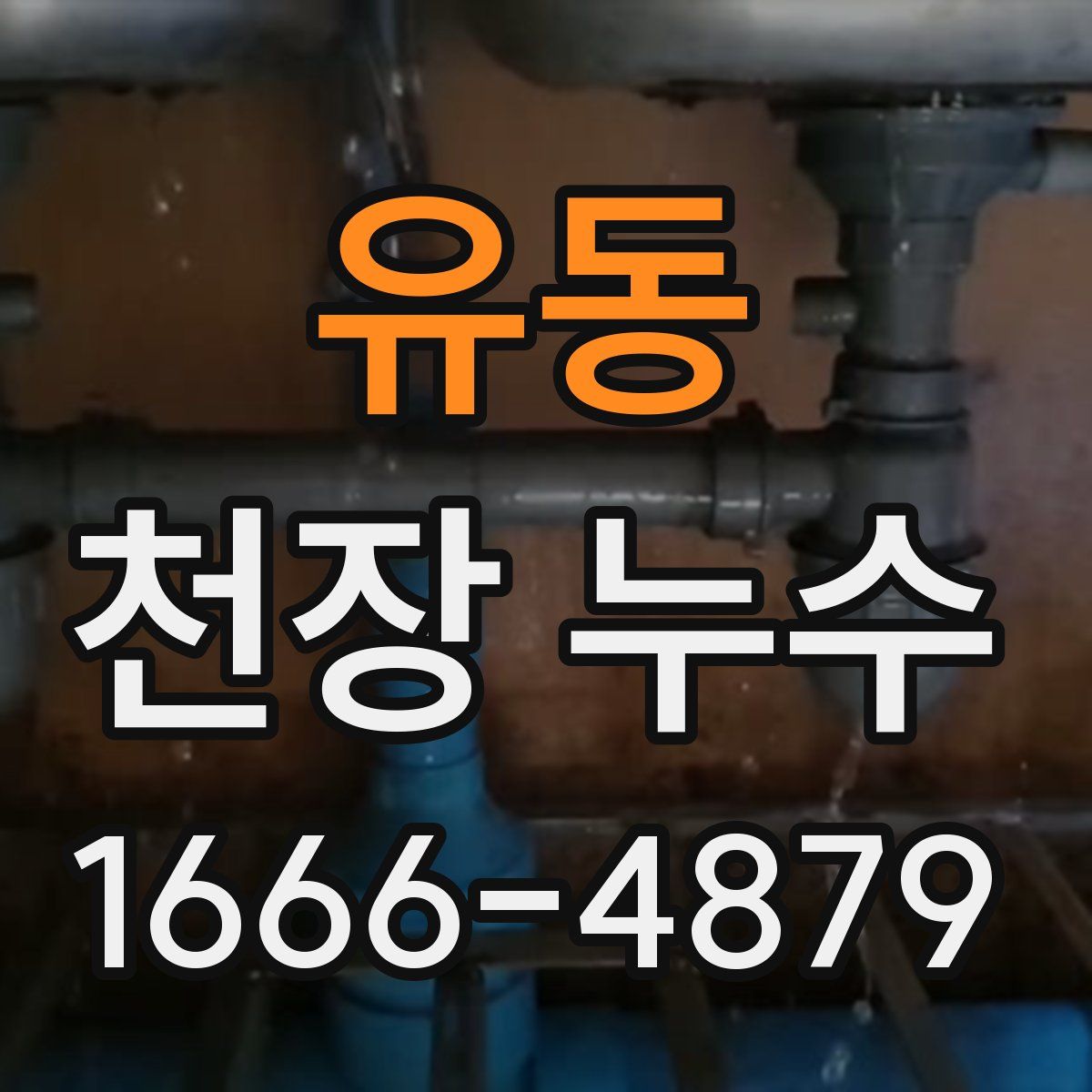 유동 천장 누수