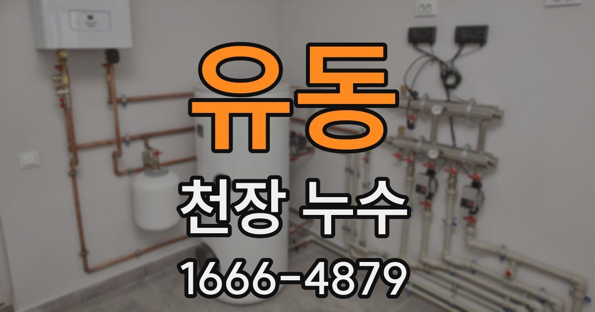 유동 천장 누수