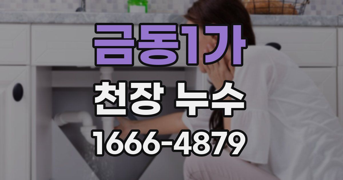 금동1가 천장 누수