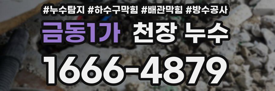 금동1가 천장 누수