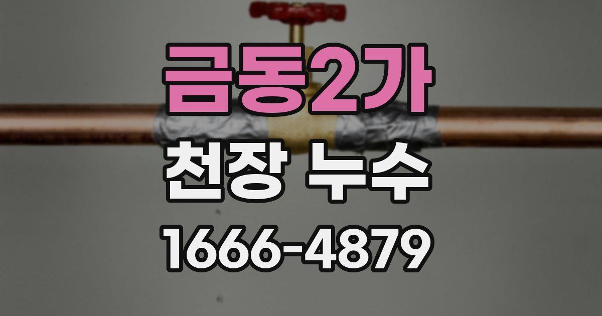금동2가 천장 누수