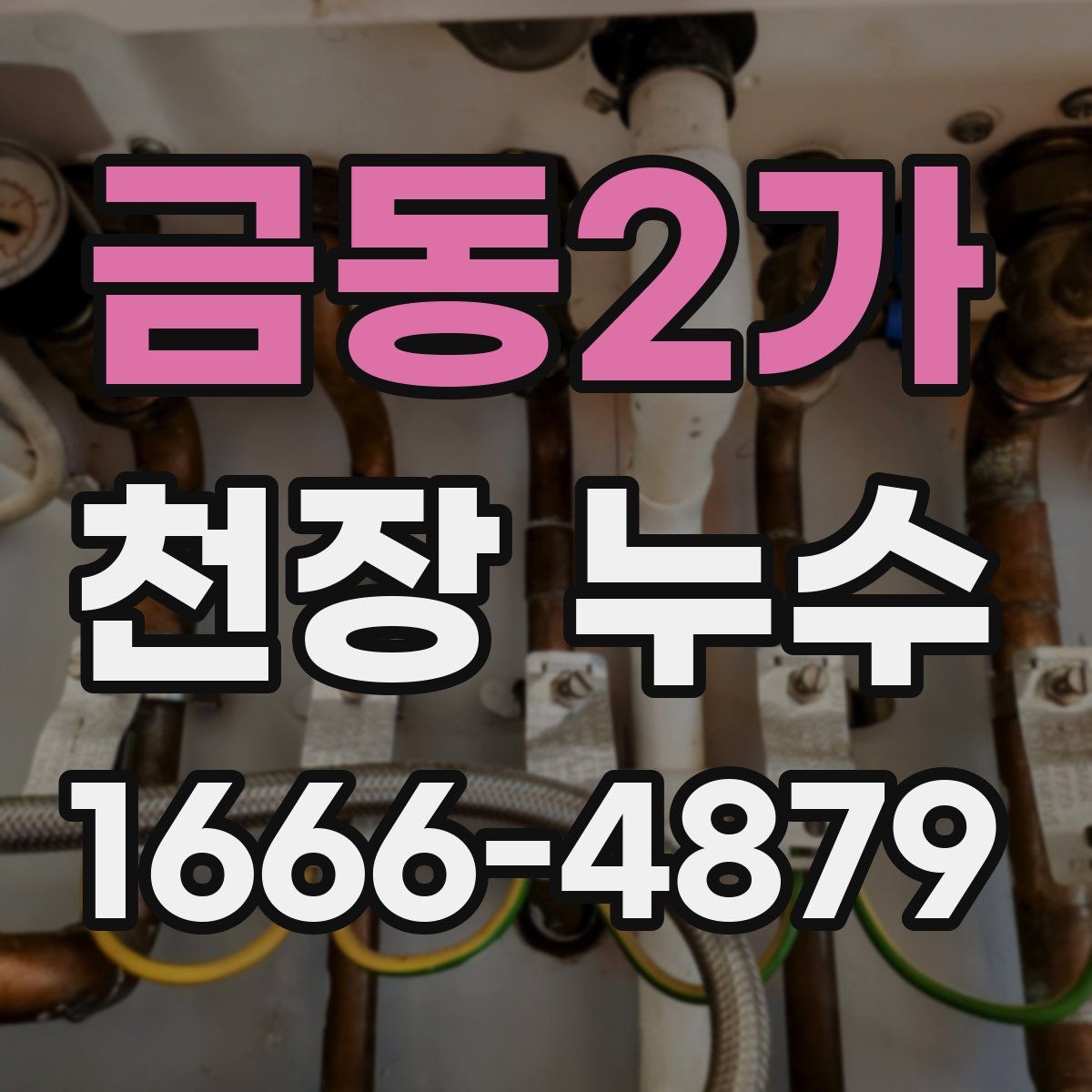 금동2가 천장 누수