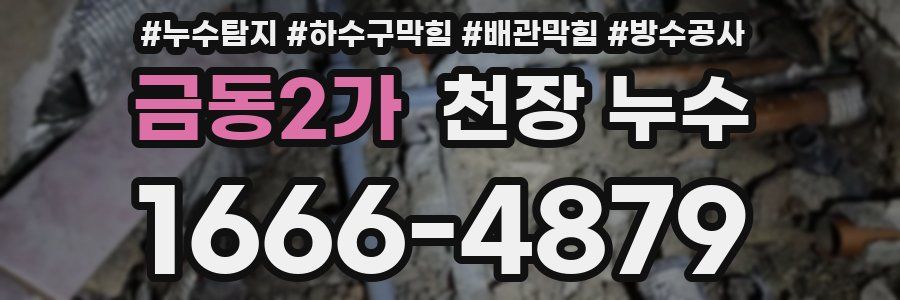 금동2가 천장 누수