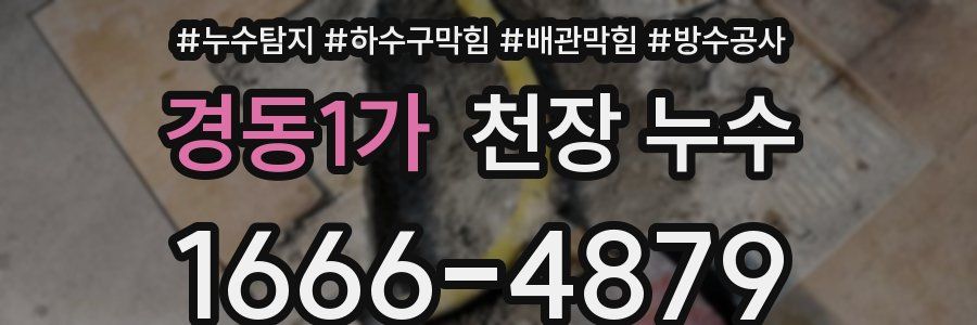 경동1가 천장 누수