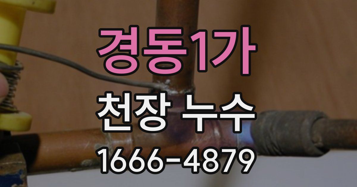 경동1가 천장 누수
