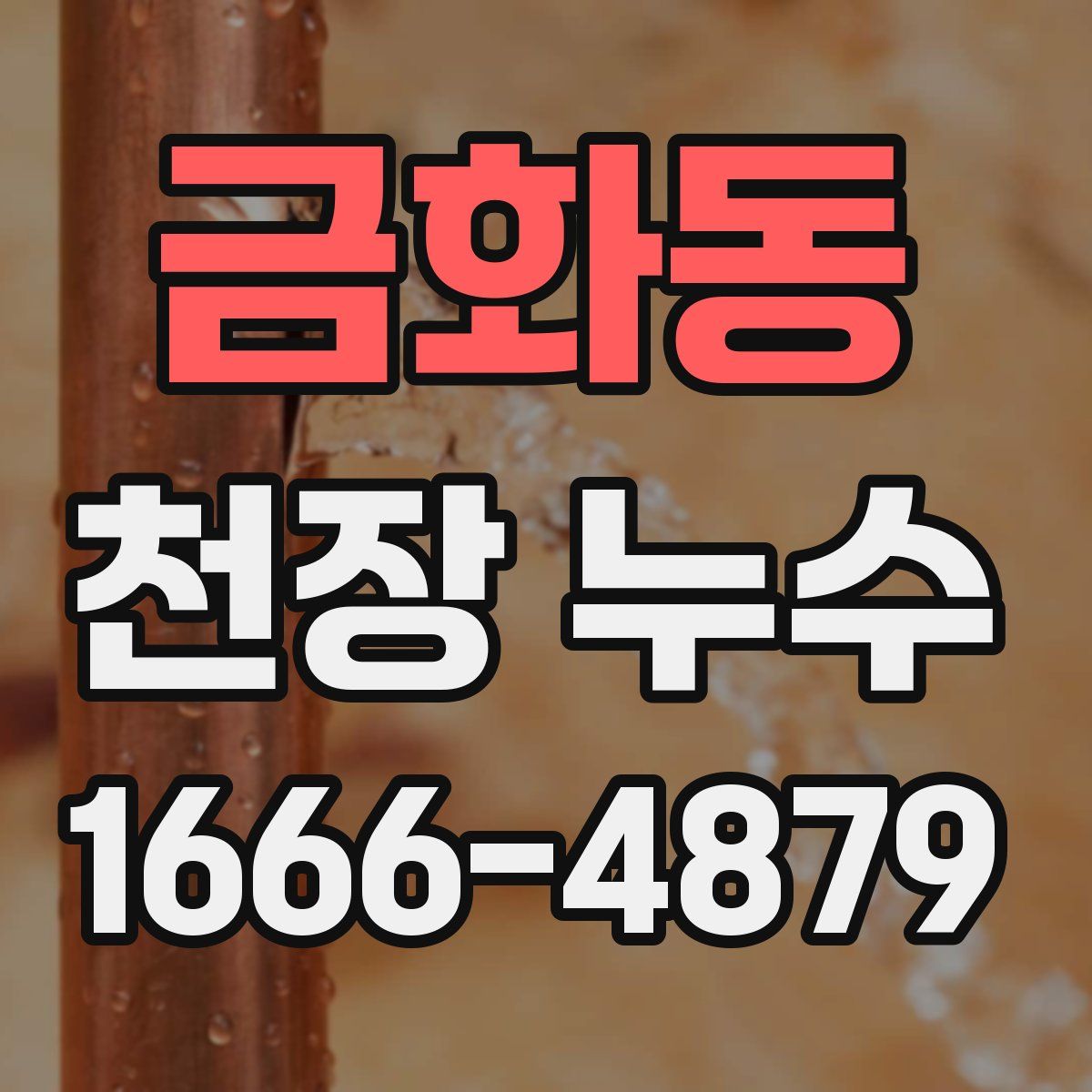 금화동 천장 누수