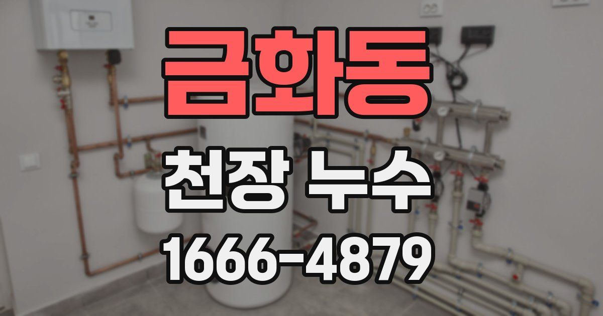 금화동 천장 누수