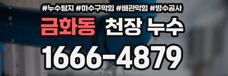 금화동 천장 누수