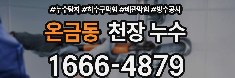 온금동 천장 누수