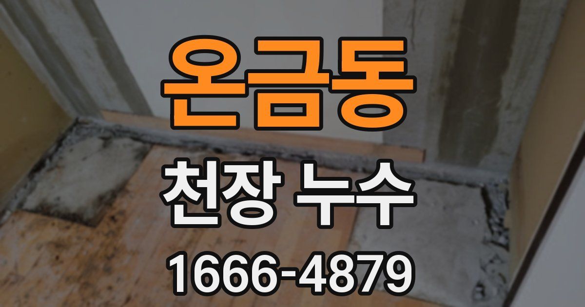 온금동 천장 누수