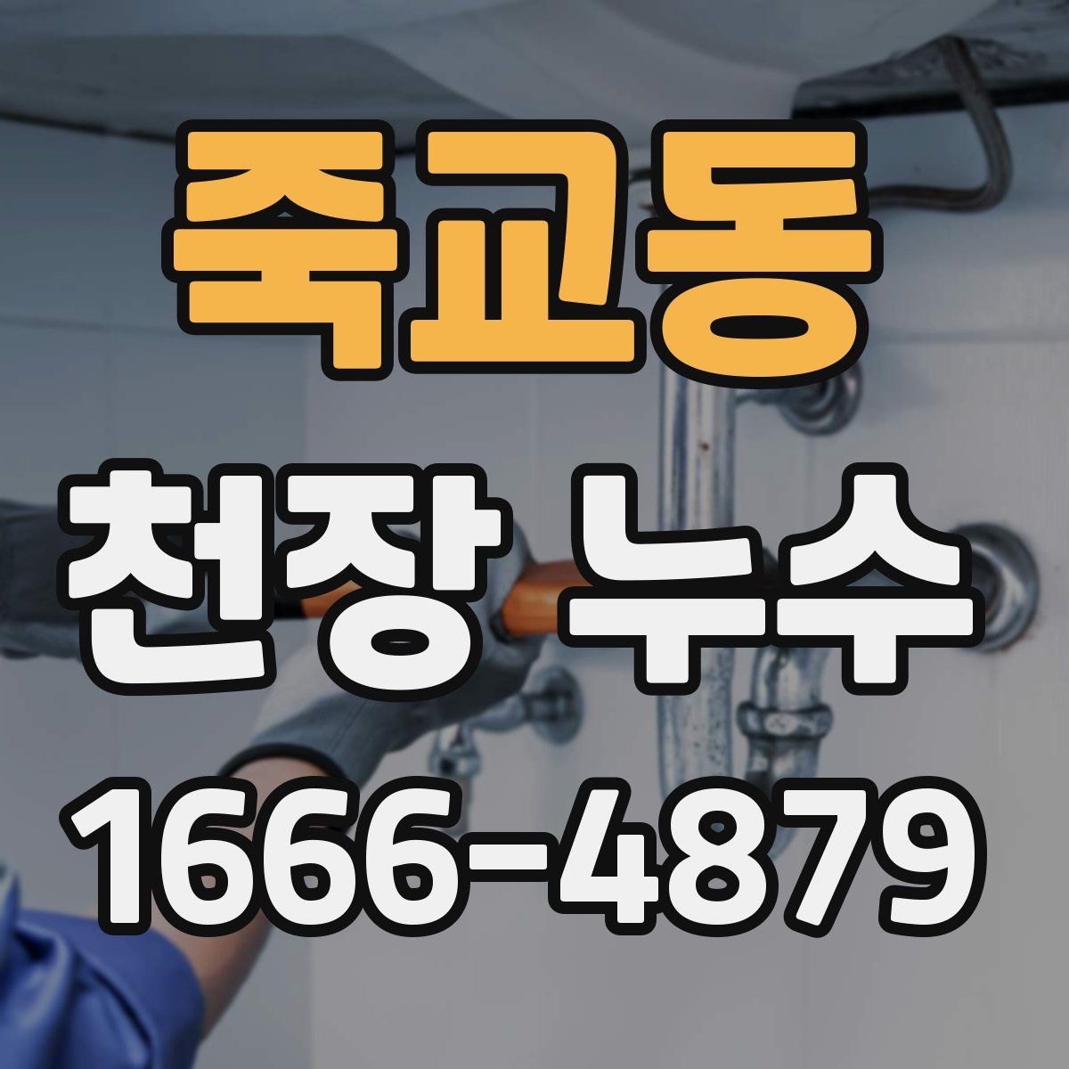 죽교동 천장 누수