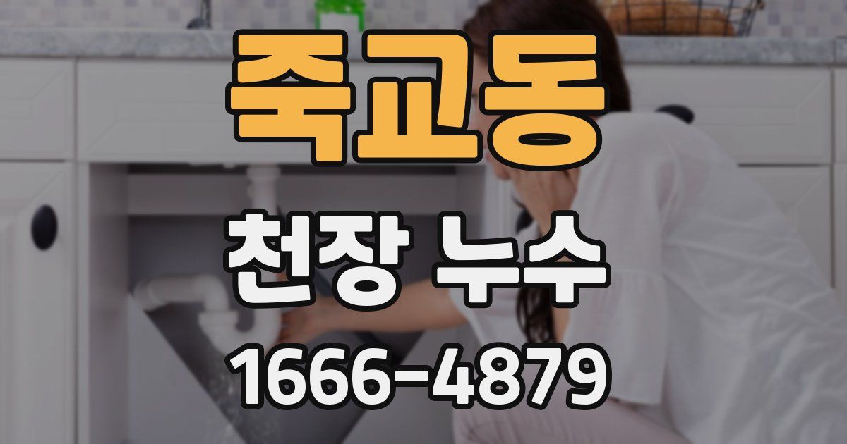 죽교동 천장 누수
