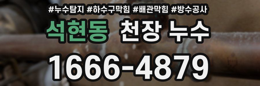 석현동 천장 누수