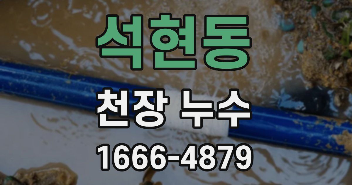 석현동 천장 누수