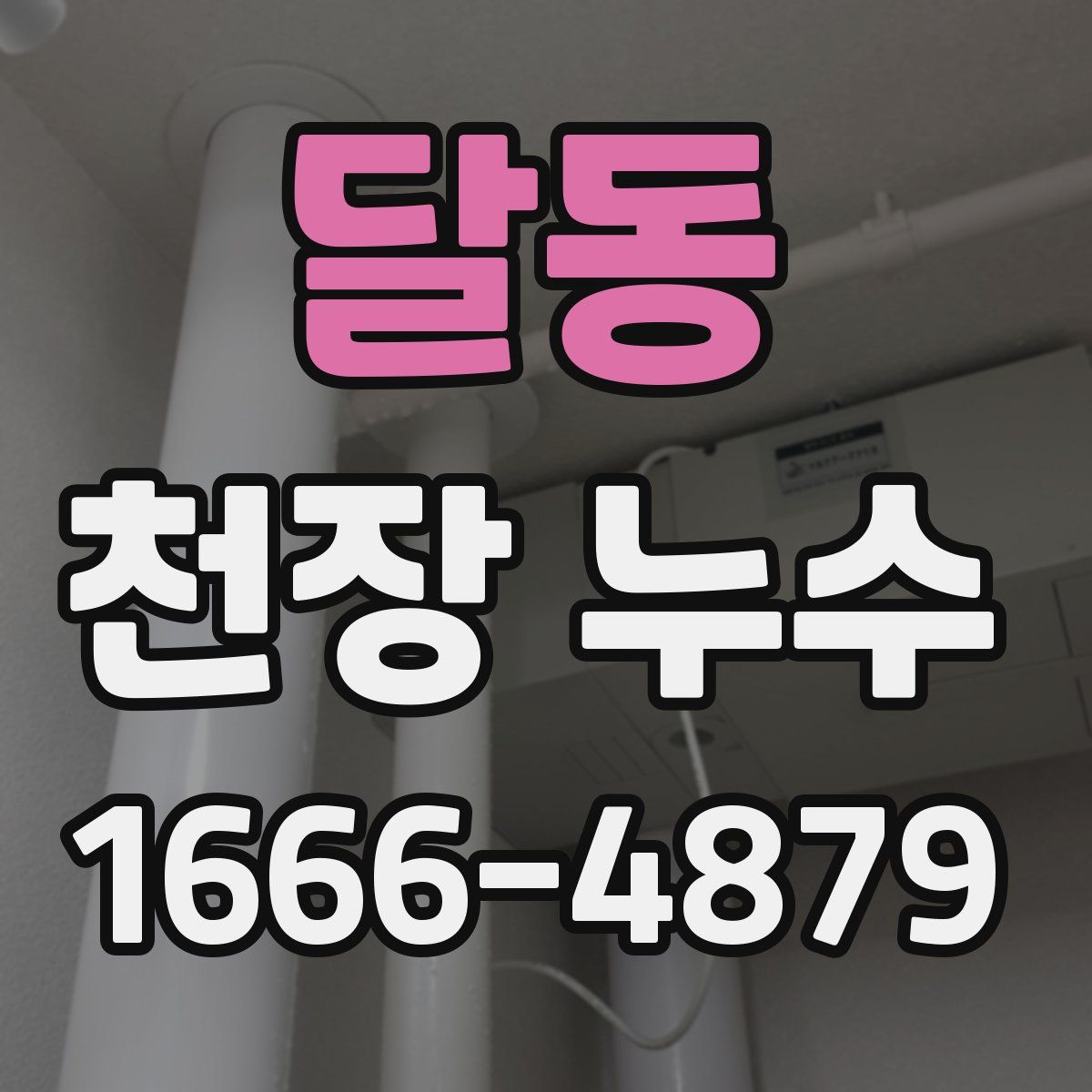 달동 천장 누수